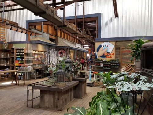 A rustic store interior filled with plants, glassware, and decorative items, featuring wooden tables and a vibrant sign.