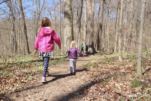 Two children walk along a wooded trail, surrounded by trees and fallen leaves, enjoying a sunny day outdoors.