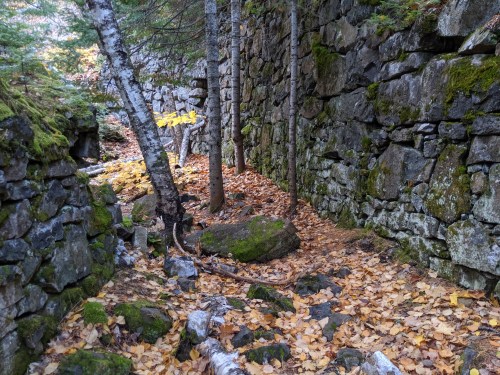 A narrow path between moss-covered stone walls, surrounded by trees and scattered autumn leaves.