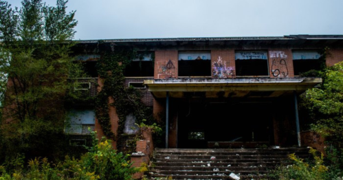 Abandoned building covered in ivy, with broken windows and graffiti, surrounded by overgrown vegetation.