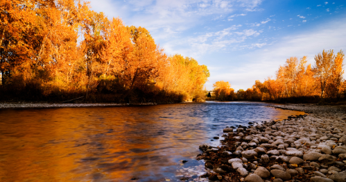 A serene river flows through a landscape of vibrant autumn trees, reflecting orange and blue hues under a clear sky.