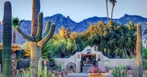 Desert landscape featuring cacti, mountains in the background, and a charming entrance with lush greenery.