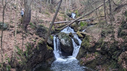 A serene forest scene featuring a small waterfall cascading over rocks, surrounded by trees and fallen branches.