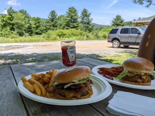 Two burgers with lettuce and cheese, served with crinkle fries and a bottle of ketchup, set against a scenic outdoor backdrop.