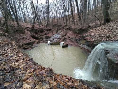 A small waterfall cascades into a muddy pool surrounded by rocky terrain and bare trees in a forested area.