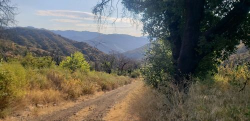 A dirt path winds through a mountainous landscape with green foliage and distant hills under a clear sky.