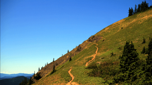 A winding trail leads up a grassy hillside under a clear blue sky, surrounded by trees and distant mountains.