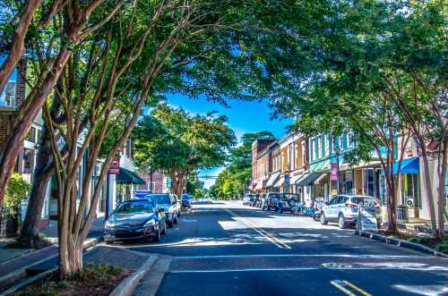 A tree-lined street with parked cars and colorful buildings under a clear blue sky.