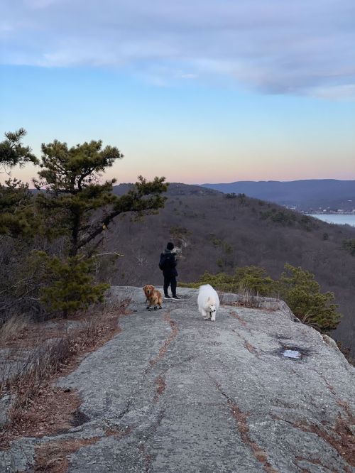 A person walks two dogs along a rocky path with a scenic view of hills and a lake at sunset.