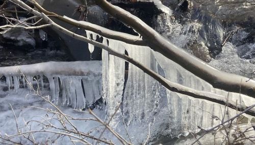 Icicles hang from a branch over a flowing stream, surrounded by winter scenery and glistening ice.