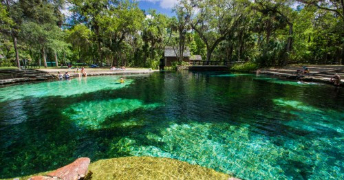 A serene natural spring with clear turquoise water, surrounded by lush greenery and people enjoying the outdoors.