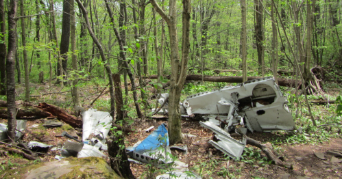 Wreckage of an aircraft partially hidden among trees and foliage in a dense forest.