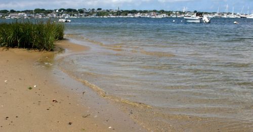 A sandy beach with gentle waves, grass on the shore, and boats in the distance under a blue sky.