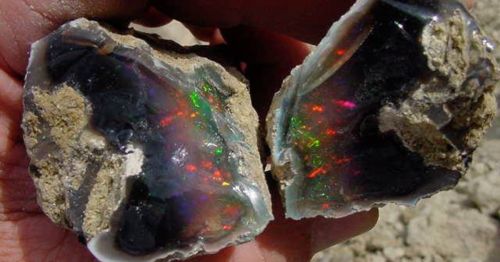 Close-up of two pieces of opal, showcasing vibrant rainbow colors and a glossy surface.