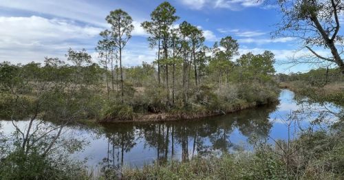 A serene river bends through a lush landscape of trees and grass under a partly cloudy sky.