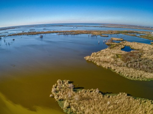 Aerial view of a serene wetland with lush vegetation and calm waters under a clear blue sky.