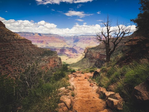 A scenic view of the Grand Canyon with a dirt path, rocky cliffs, and a blue sky dotted with clouds.