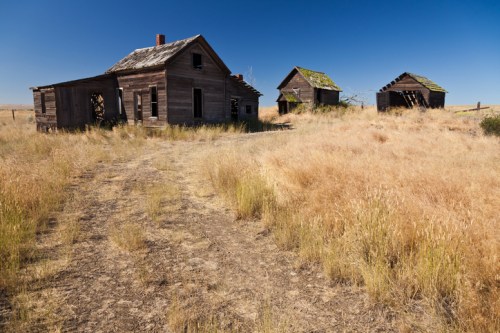 Abandoned wooden houses surrounded by tall, dry grass under a clear blue sky.