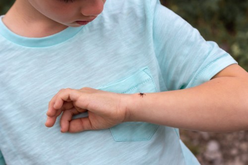 A child in a light blue shirt watches a small insect crawling on their arm.