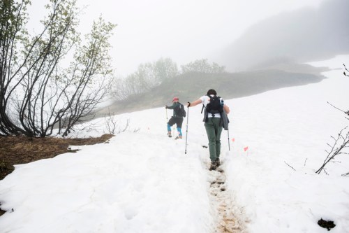 Two hikers navigate a snowy trail in a foggy landscape, surrounded by sparse greenery.