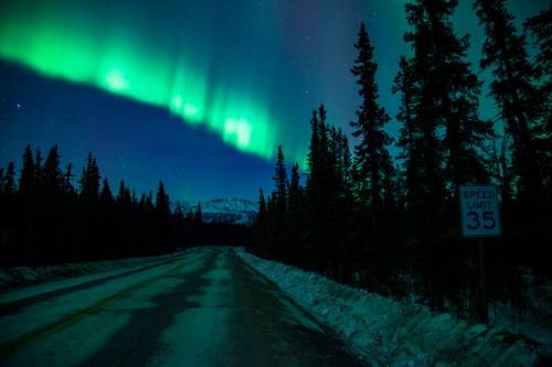A snowy road lined with trees under a vibrant green aurora borealis in the night sky. A speed limit sign is visible.