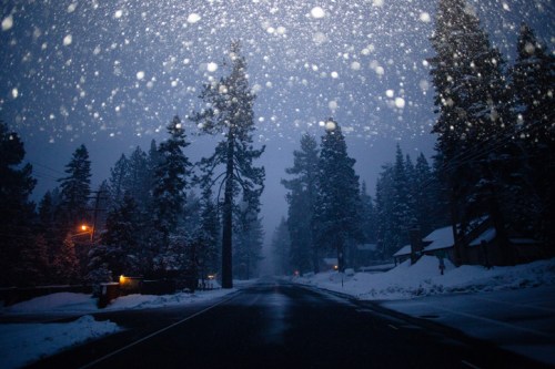 A snowy road lined with trees and houses, illuminated by streetlights, under a dark, wintry sky. Snowflakes are falling.