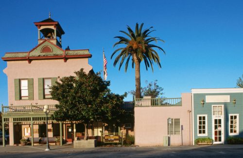 Historic buildings with a palm tree, blue sky, and an American flag in a small town setting.