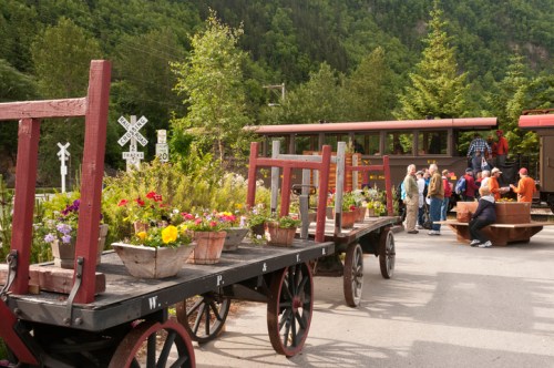A vintage train station with a flower-adorned cart and people gathering near a train in a scenic, green landscape.