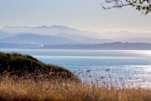 A serene landscape featuring mountains in the background, a calm water body, and grassy foreground under a clear sky.