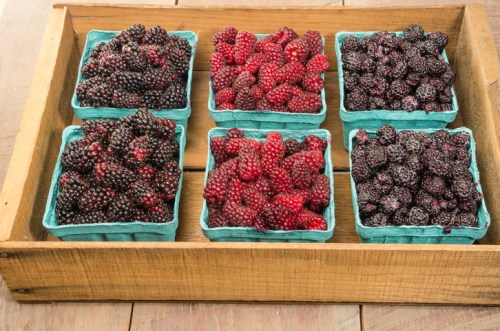 A wooden tray holds six containers of fresh blackberries and raspberries, showcasing vibrant red and dark purple colors.