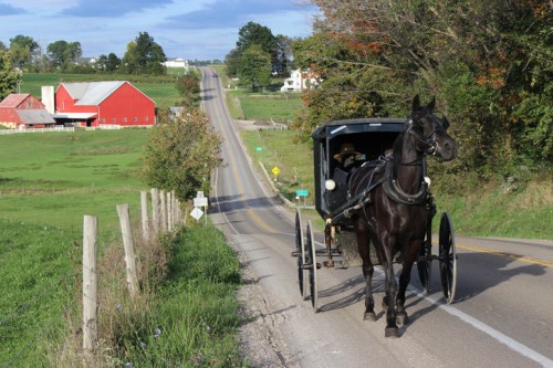 A horse-drawn buggy travels down a rural road, with a red barn and green fields in the background.