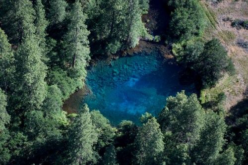 Aerial view of a clear blue pond surrounded by lush green trees and vegetation.