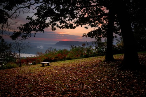A serene landscape at sunset, featuring a bench surrounded by trees and fallen leaves, overlooking a distant valley.