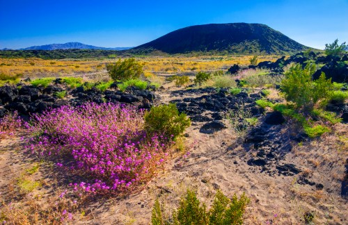 A vibrant landscape featuring purple flowers, rocky terrain, and a volcanic hill under a clear blue sky.