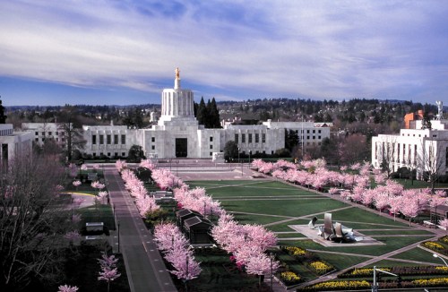 A view of the Oregon State Capitol surrounded by blooming cherry trees and landscaped gardens under a cloudy sky.