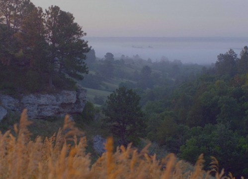 A misty landscape at dawn, featuring rolling hills, trees, and tall grass in the foreground.