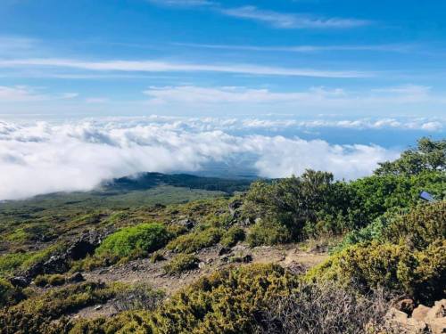 A scenic view from a mountain peak, overlooking clouds and lush greenery under a blue sky.