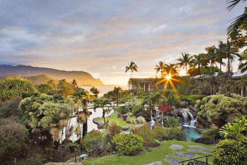 A tropical landscape at sunrise, featuring lush greenery, palm trees, and a serene waterfall with ocean views in the background.