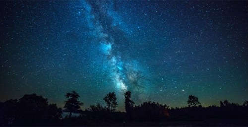 A stunning night sky filled with stars and the Milky Way, framed by silhouettes of trees.