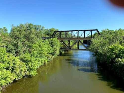 A black metal bridge spans a calm river, surrounded by lush green trees under a clear blue sky.