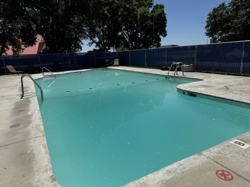 A clear, empty swimming pool surrounded by a concrete deck and trees in the background on a sunny day.