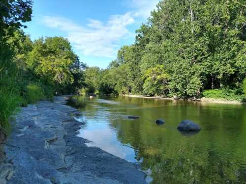 A serene river scene with lush green trees lining the banks and smooth rocks along the water's edge under a blue sky.