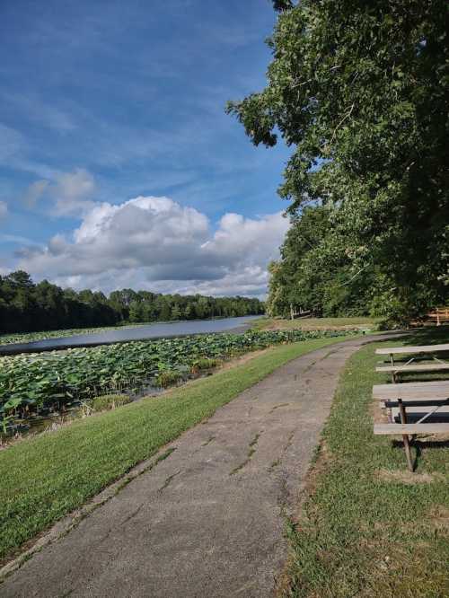 A serene pathway alongside a calm lake, surrounded by lush greenery and scattered clouds in a blue sky.