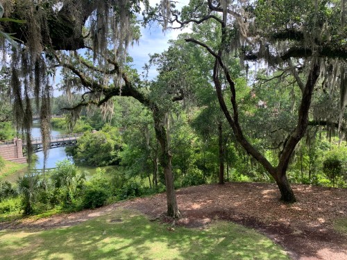 Lush green landscape with trees draped in Spanish moss overlooking a river and a bridge in the distance.