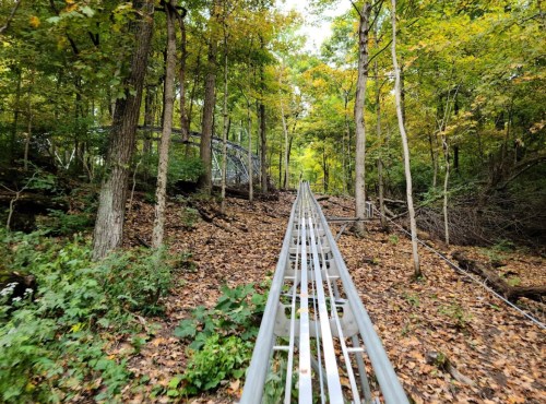 A metal track winding through a forest with colorful autumn leaves on the ground and trees surrounding the path.