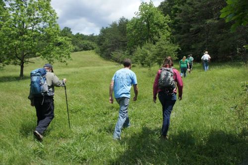 A group of hikers walking on a grassy trail surrounded by trees under a partly cloudy sky.