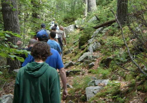 A group of people hiking along a rocky trail in a lush green forest.