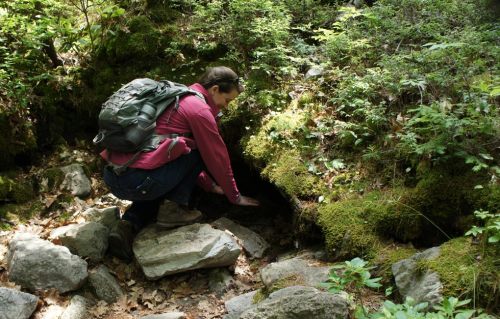 A person in a pink jacket crouches by a rocky area, exploring a moss-covered spot in a lush forest.