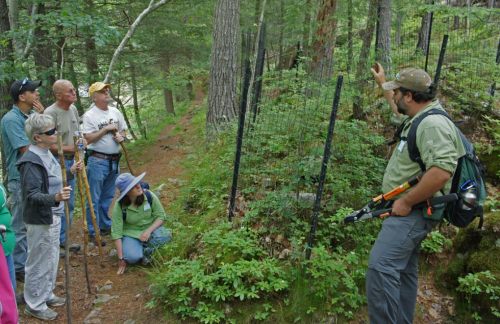A group of people listens to a guide in a forest, discussing nature while surrounded by trees and greenery.