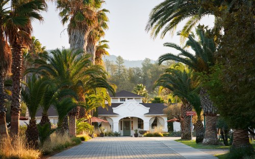 A scenic pathway lined with palm trees leads to a charming white building surrounded by lush greenery.